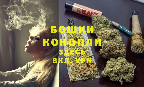молекула духа Белоозёрский