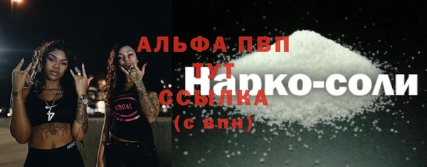 молекула духа Белоозёрский
