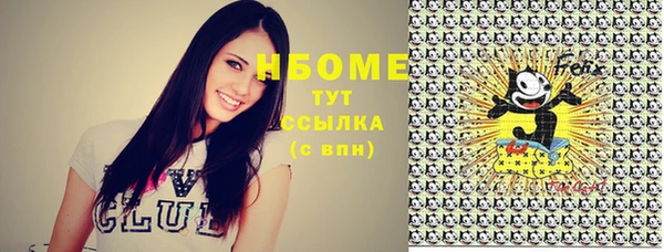 молекула духа Белоозёрский
